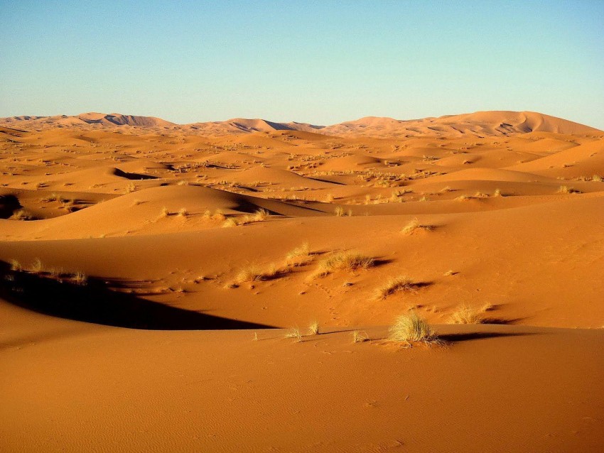 Sahara Background HD Wallppaer Download Free