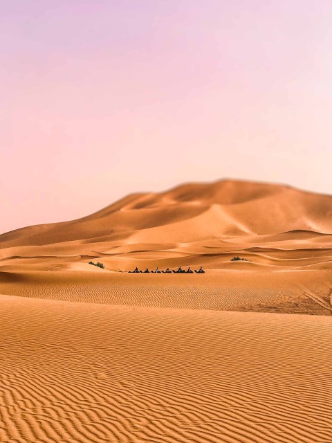 Sahara CB Picsart  Background Full HD Download Free