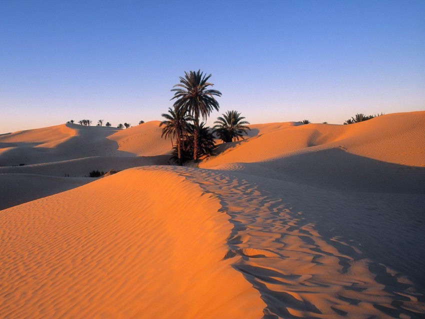 Sahara Desert Background HD Download