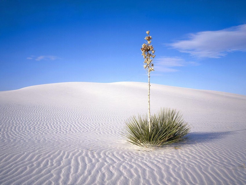 Sahara Desert Background HD Download