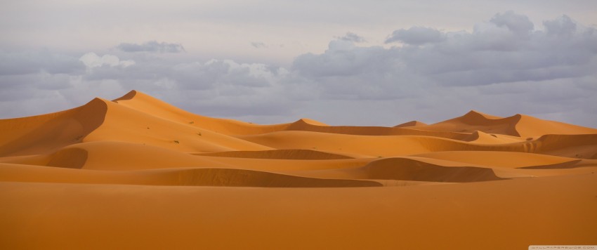 Sahara Desert Background HD Download