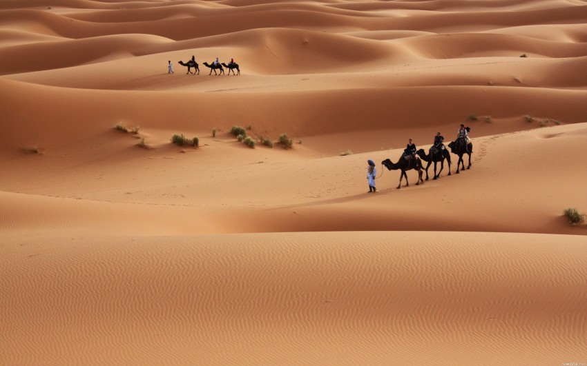 Sahara Desert Background HD Download