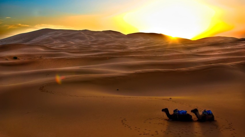 Sahara Desert Background HD Download