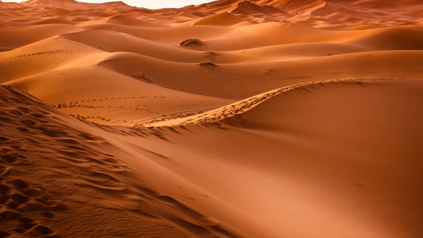 Sahara Desert Background HD Download