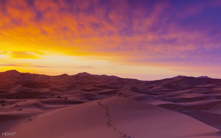 Sahara Desert Background HD Download