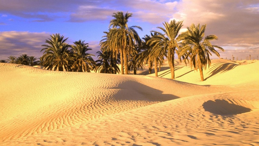 Sahara Desert Background HD Download