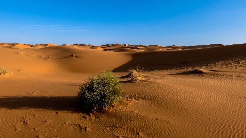 Sahara Desert Background HD Download