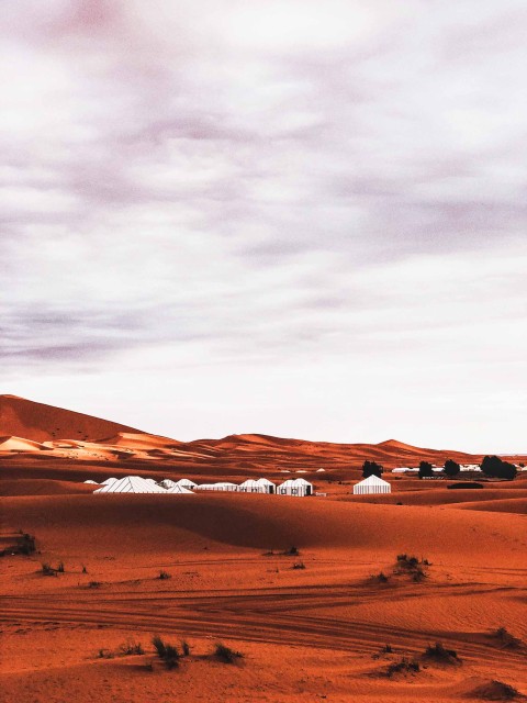 Sahara Desert Photo  Editing Background HD Download