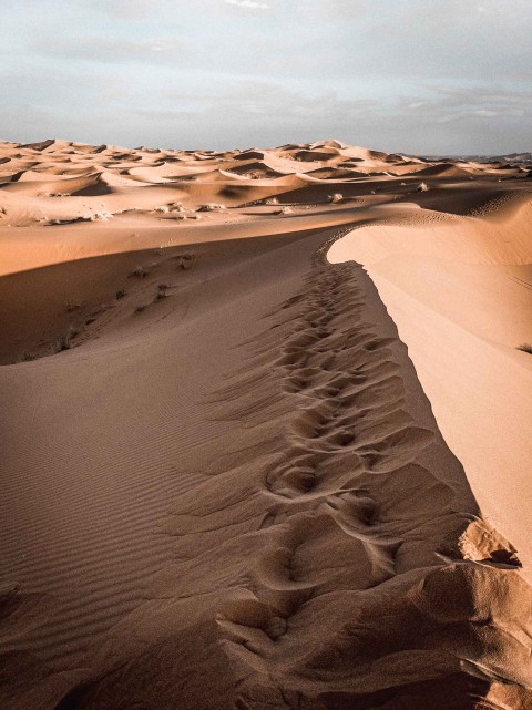 Sahara Desert Photo  Editing Background HD Download