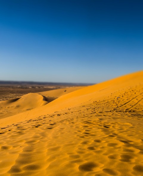 Sahara Desert Picsart Editing Background HD Download