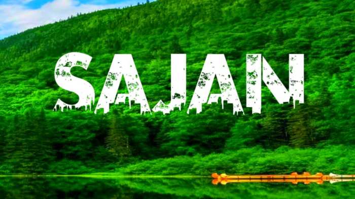 Sajan Urban Jungle Images Download Free HD Images