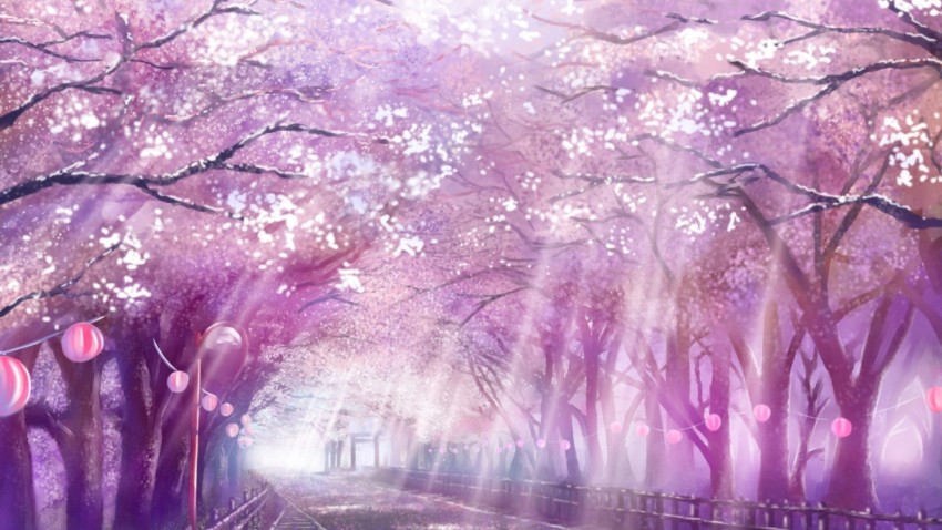 Sakura Tree Background Full HD Images Photos Download