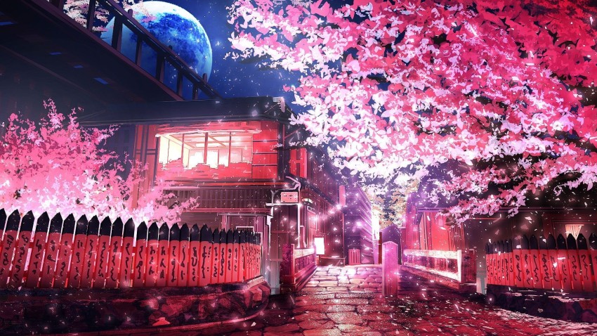 Sakura Tree Background Full HD Images Photos Download