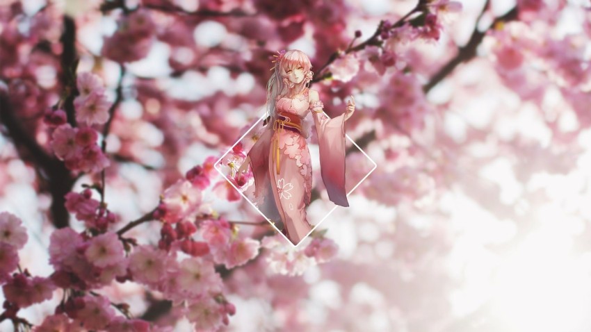 Sakura Tree Background Full HD Images Photos Download