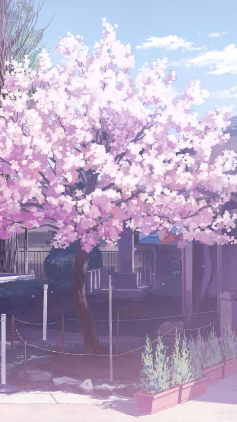 Sakura Tree iPhone Wallpaper Background HD Download