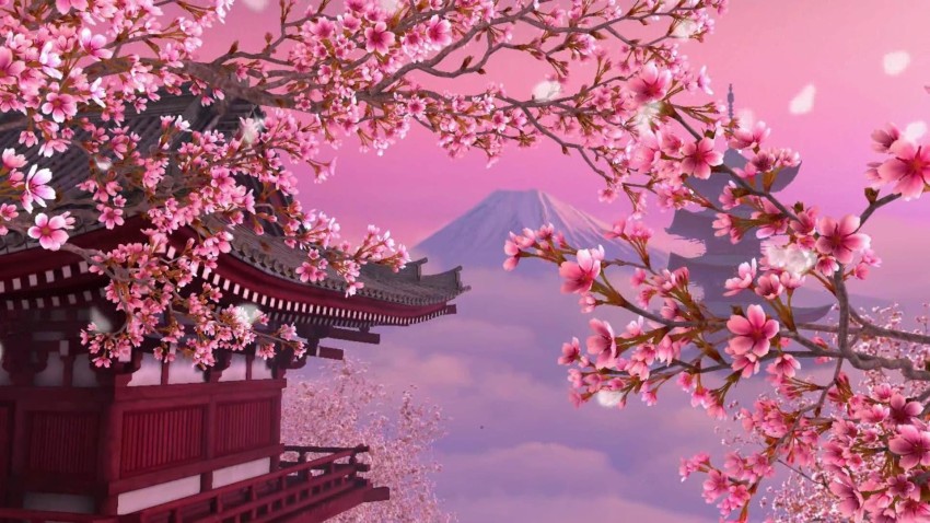 Sakura Tree Wallpaper Background HD Download