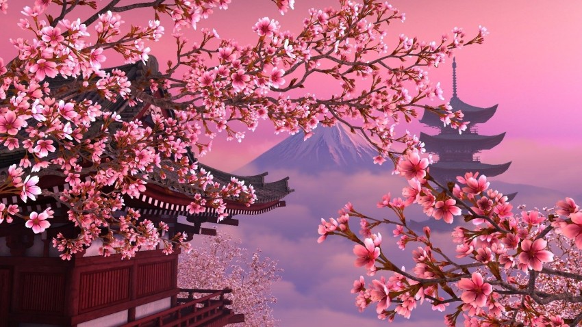 Sakura Tree Wallpaper Background HD Download