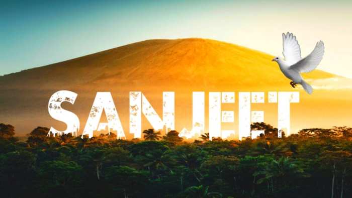 Sanjeet Urban Jungle Background Free HD Images