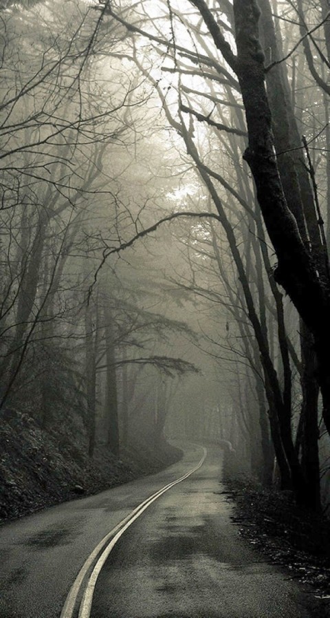 Scary Road Background HD Wallpaper Images Photos Free