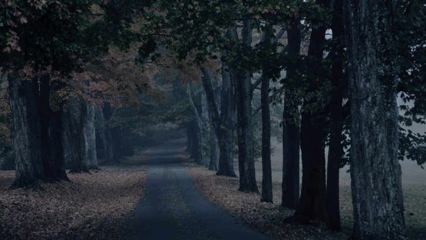 Scary Road Background HD Wallpaper Images Photos Free