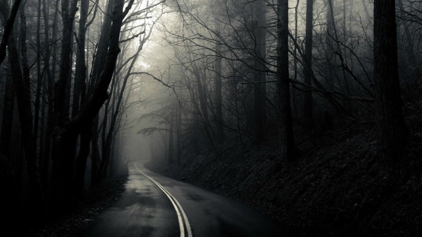 Scary Road Background HD Wallpaper Images Photos Free