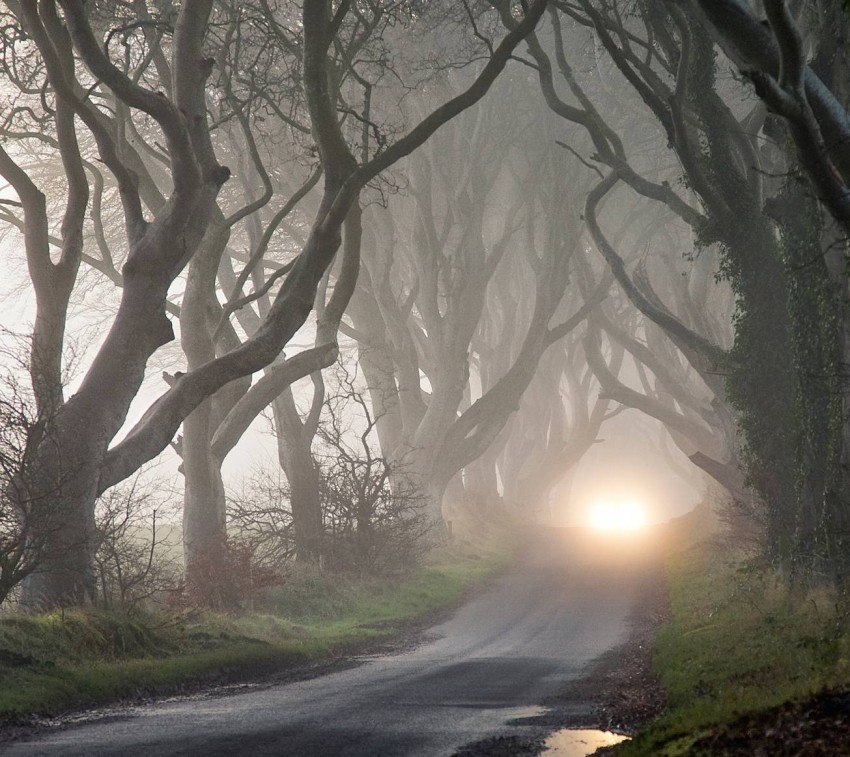 Scary Road Background HD Wallpaper Images Photos Free