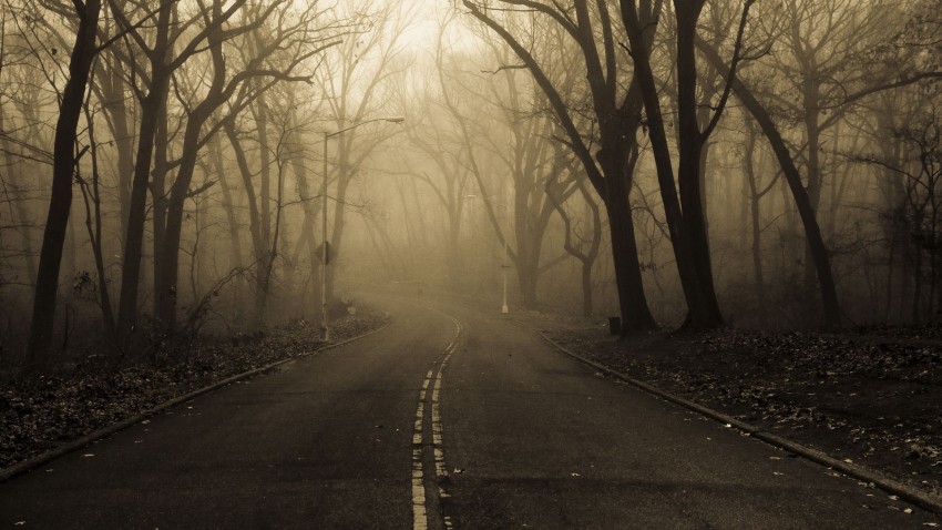 Scary Road Background HD Wallpaper Images Photos Free