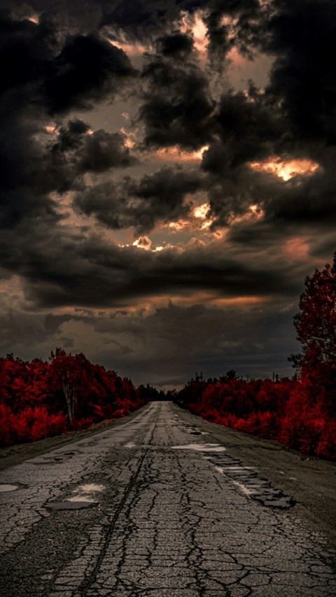 Scary Road Background HD Wallpaper Images Photos Free