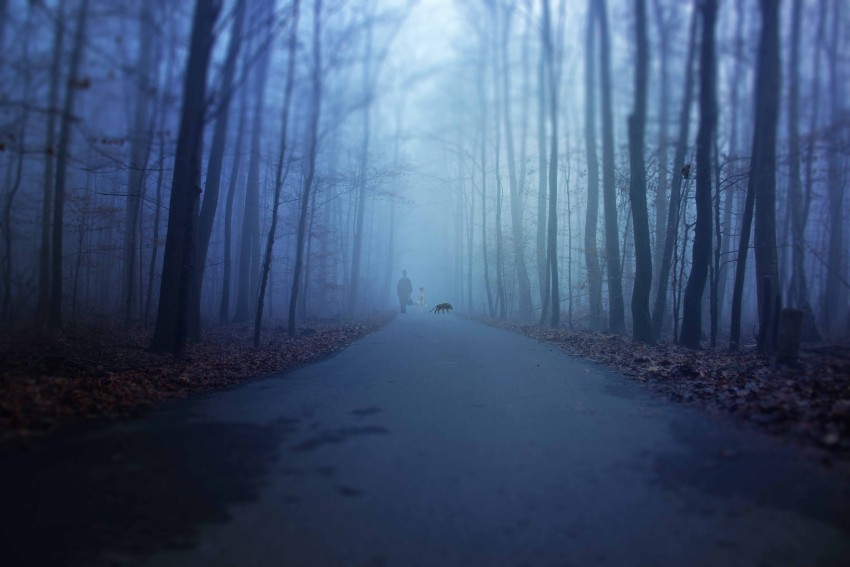 Scary Road Background HD Wallpaper Images Photos Free