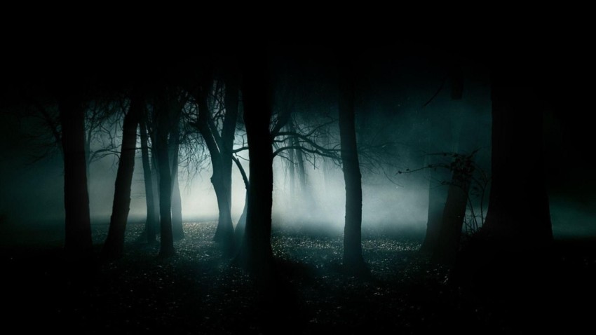 Scary Road Background HD Wallpaper Images Photos Free