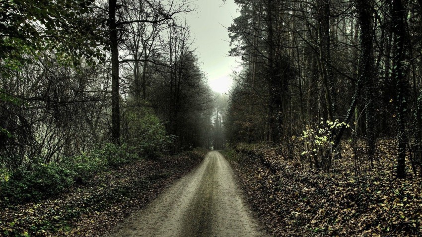 Scary Road Background HD Wallpaper Images Photos Free