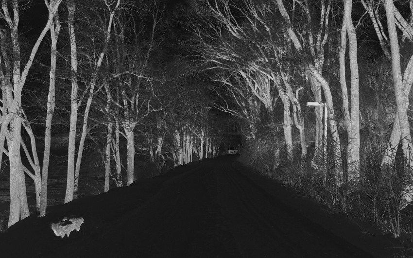 Scary Road Background HD Wallpaper Images Photos Free