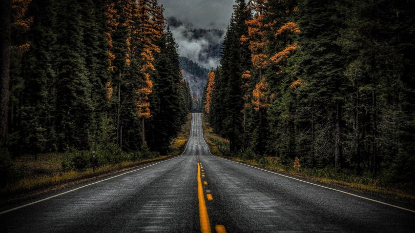 Scary Road Background HD Wallpaper Images Photos Free