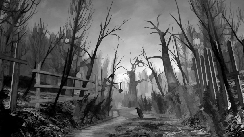 Scary Road Background HD Wallpaper Images Photos Free