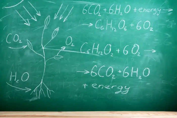 School Chalkboard With Math Equations Background HD Images