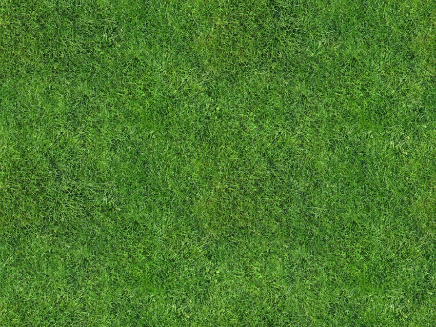 Seamless Grass Background Images Photos High Resolution