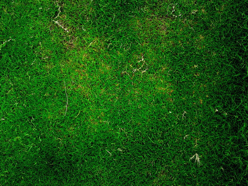 Seamless Grass HD Background Images Photos Download