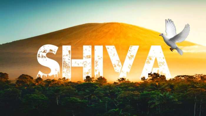 Shiva Urban Jungle Images Download Free HD Images