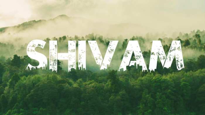 Shivam Urban Jungle Font Free HD Images