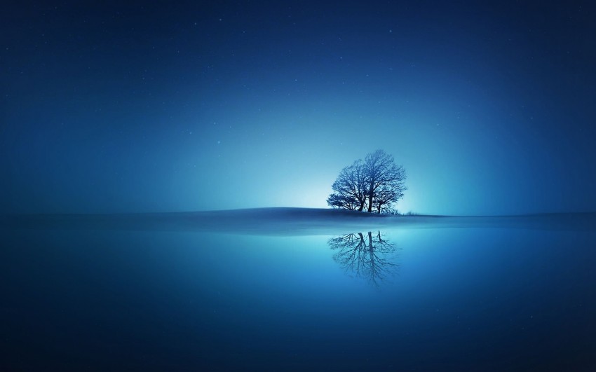 Single Tree Photoshop Editing Background HD Download