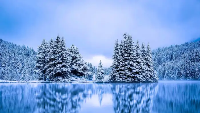 Sky Blue Lake Winter Forest Background HD Wallpapers