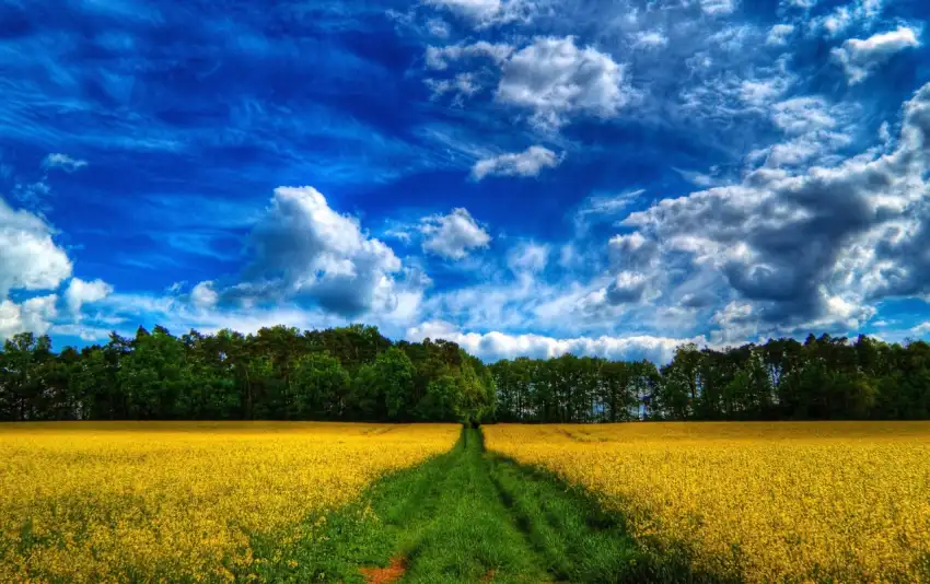 Sky Cloud Spring Field Background HD Download