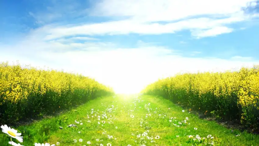 Sky Cloud Spring Field Background HD Download