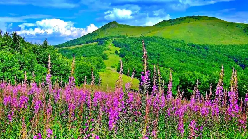 Sky Cloud Spring Field Background HD Download