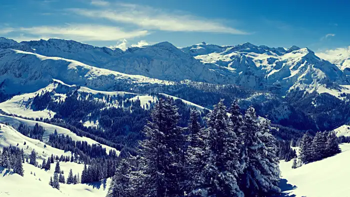 Sky Mountain Winter Forest Background HD Wallpapers