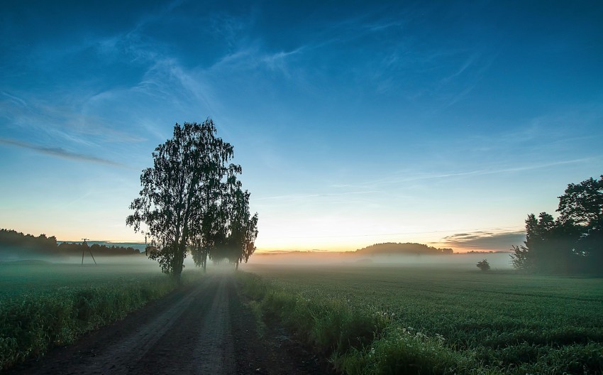 Sky Sunset With Tree Background HD Download Free