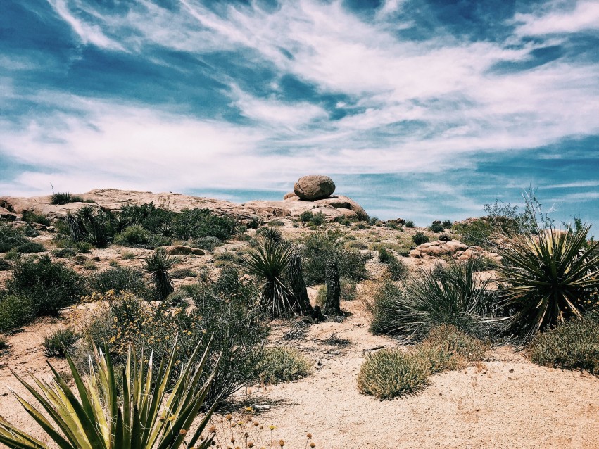 Sky With Desert Sahara CB Picsart Editing Background HD Download