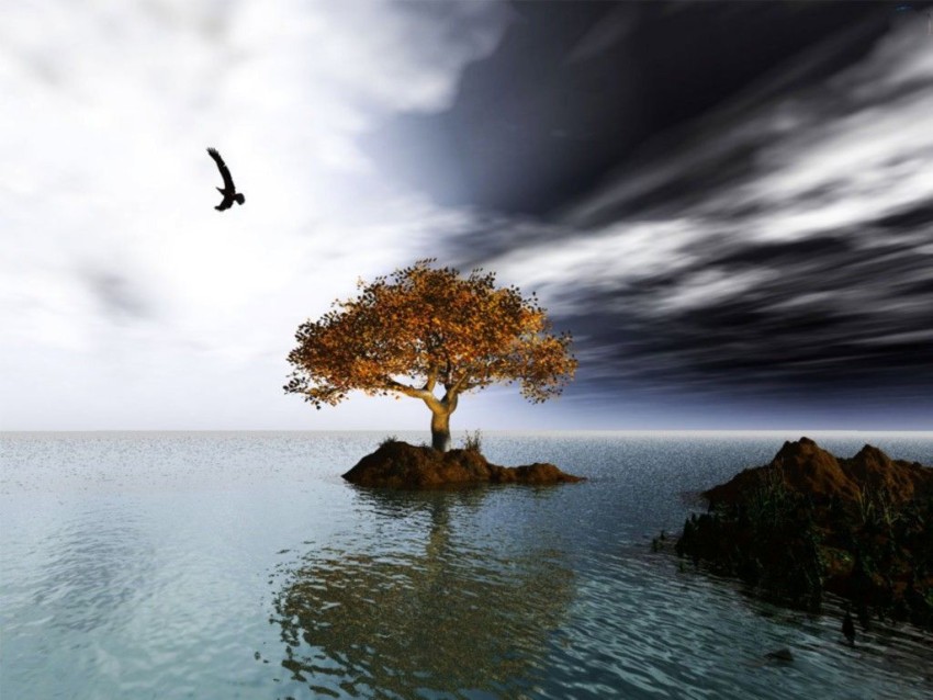 Sky With Single Tree Background HD Download