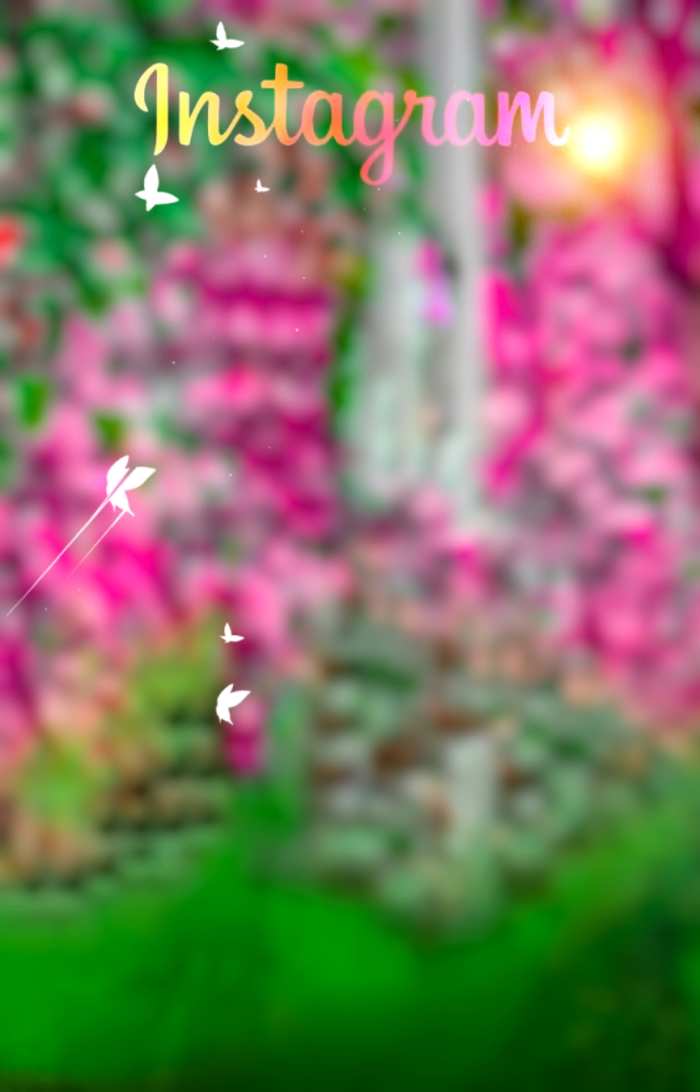 Snapseed Blur Photo Editing Background HD