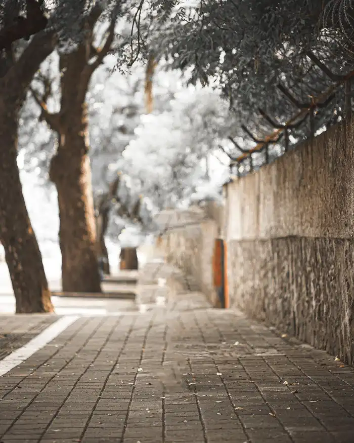 Snapseed Footpath With Tree Editing Background HD